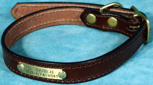 Brass Pet ID Collar Tag, attached to a Leather Collar